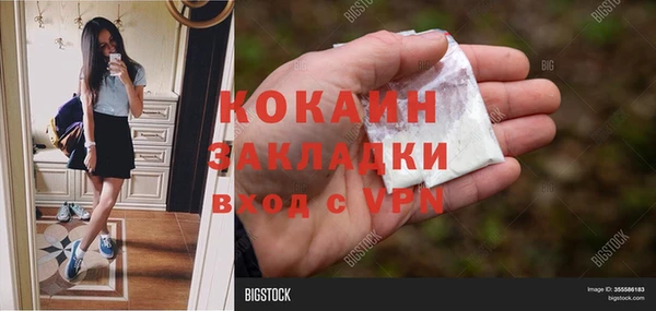 шишки Волосово